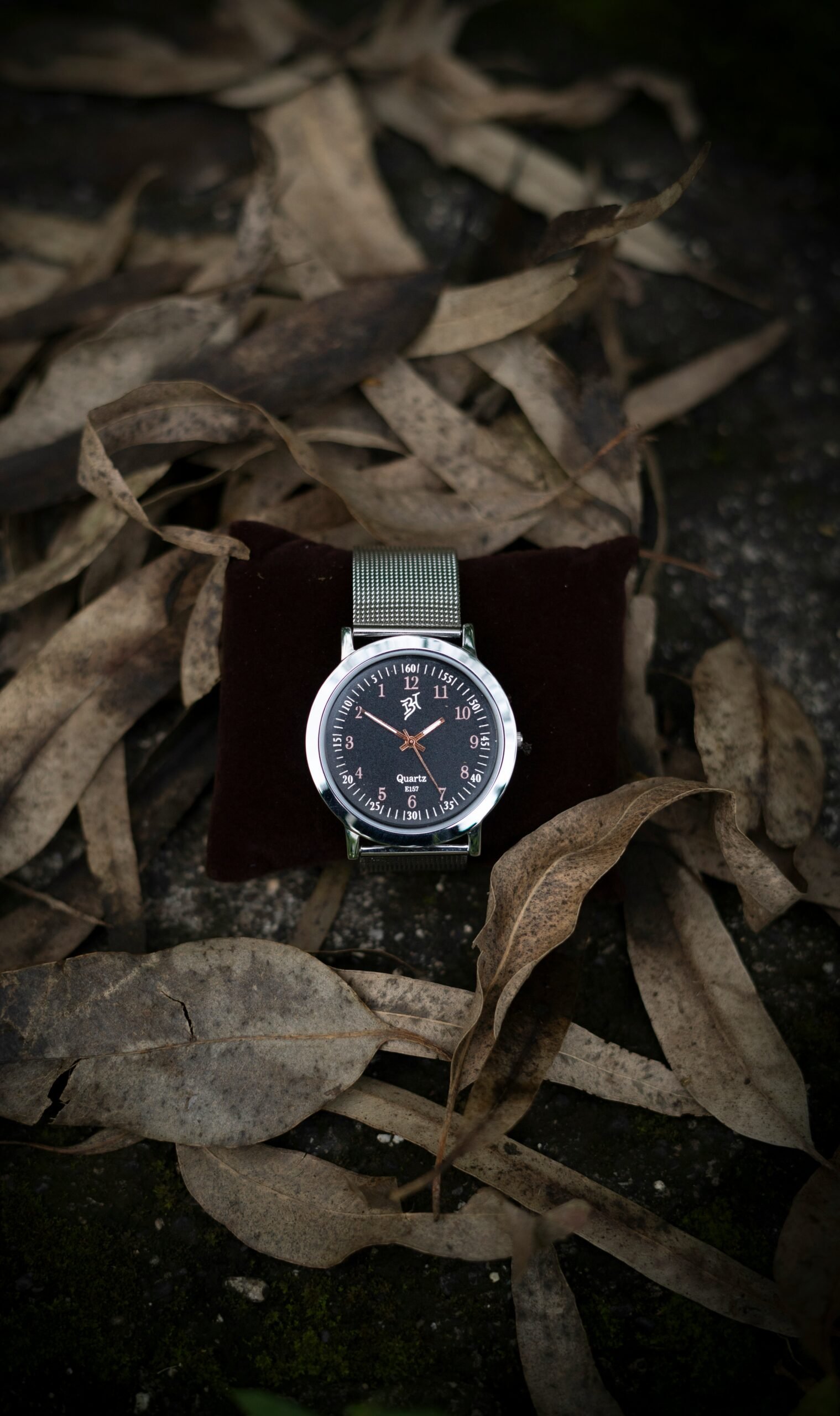 black and silver analog watch on brown dried leaves