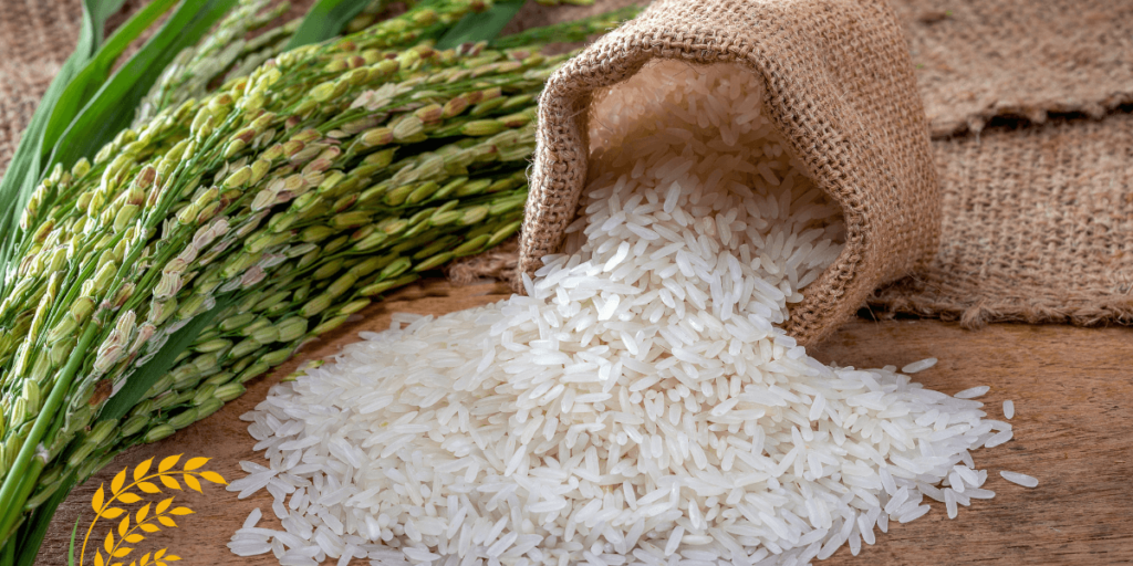 Rice Exporters in India